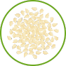 Sesame seeds